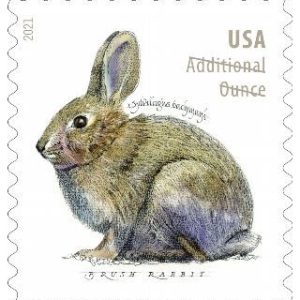 Additional Ounce Forever Stamps 2021 Brush Rabbit – Nature Series, Postage