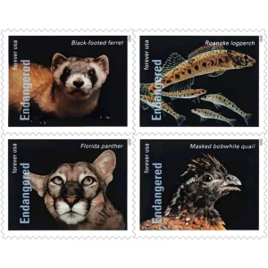 Forever Stamps 2023 Endangered Species – Wildlife Conservation, First-Class Postage
