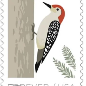 Forever Stamps 2018 Birds in Winter – Seasonal Wildlife, First-Class Postage