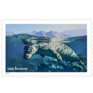 Forever Stamps 2022 National Marine Sanctuaries – Ocean Conservation, First-Class Postage