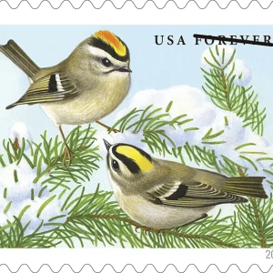 Forever Stamps 2016 Songbirds in Snow – Seasonal Wildlife, First-Class Postage