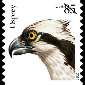 First Class Stamps 2012 Osprey – Nature Series, 85¢ Postage