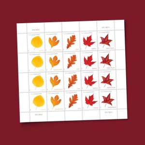 Postcard Rate Stamps 2025 Autumn Leaves – Nature Series, First-Class Rate